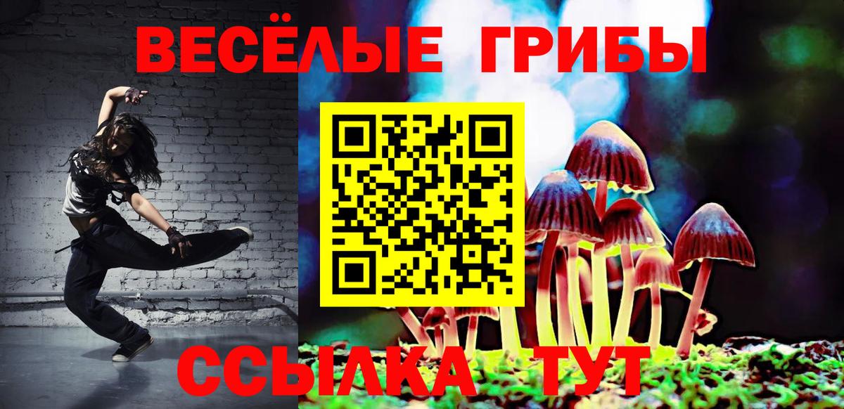 Псилоцибиновые грибы ЛСД  Вход с VPN  Псилоцибиновые грибы Cubensis  Кунгур 