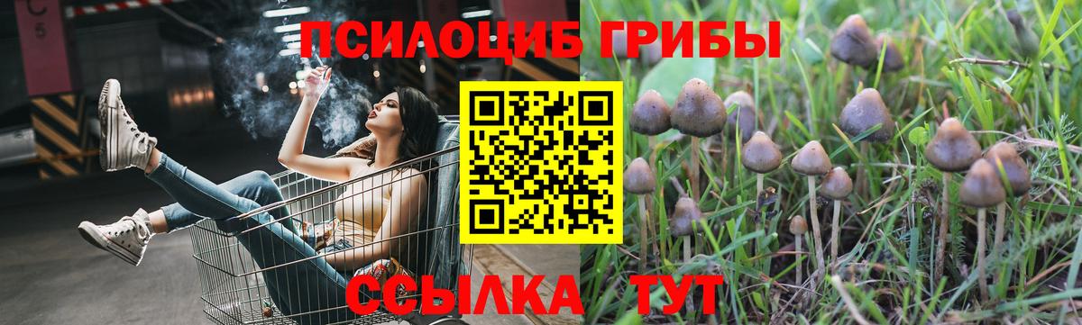 Галлюциногенные грибы Cubensis Кунгур